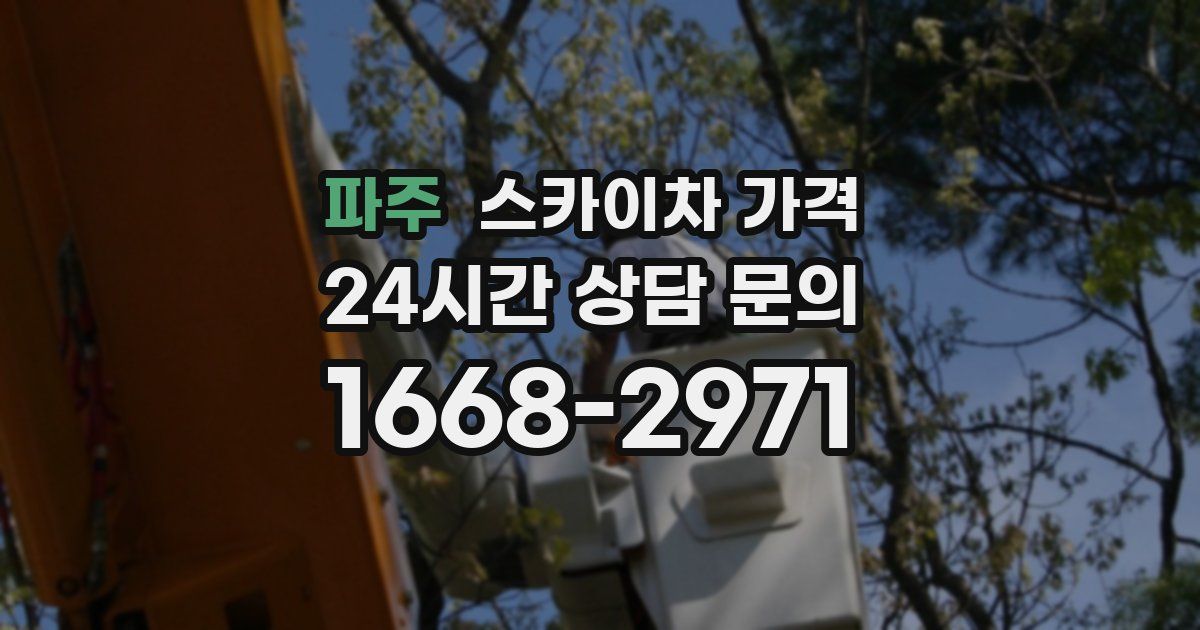 파주 스카이차 가격