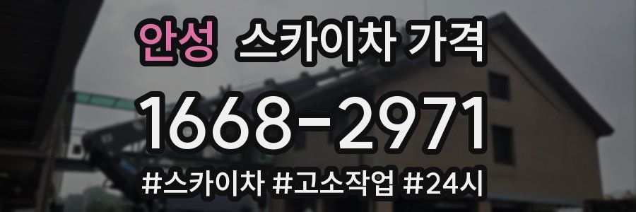 안성 스카이차 가격