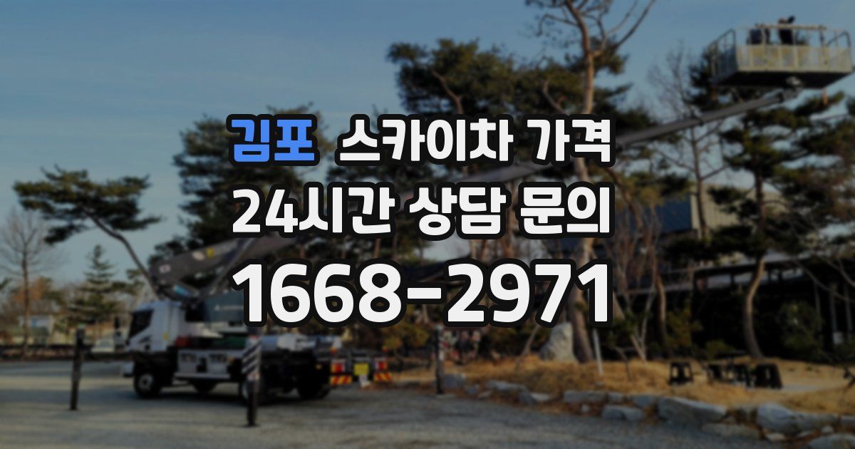 김포 스카이차 가격