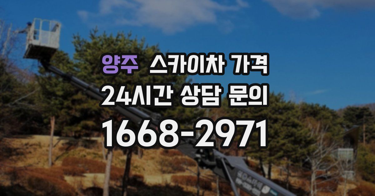 양주 스카이차 가격