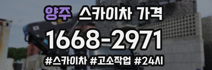 양주 스카이차 가격