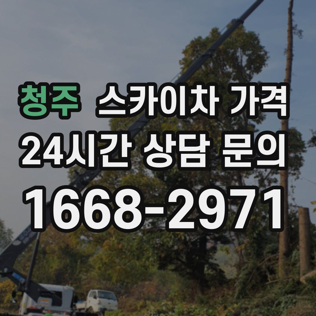 청주 스카이차 가격