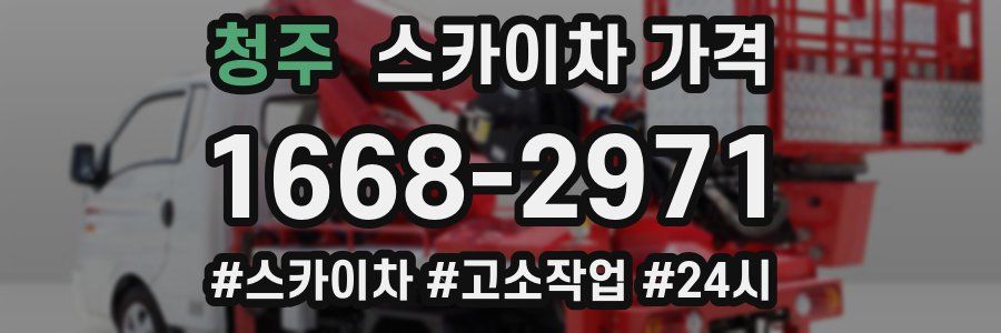 청주 스카이차 가격