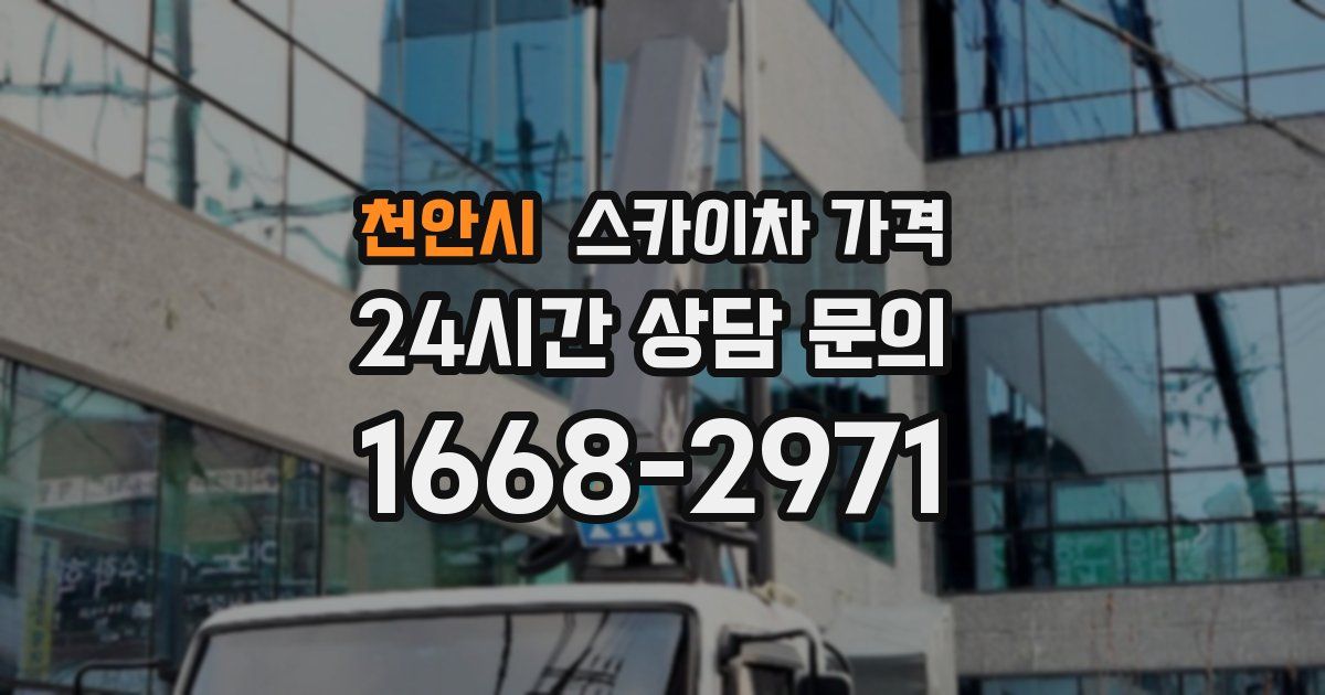 천안시 스카이차 가격