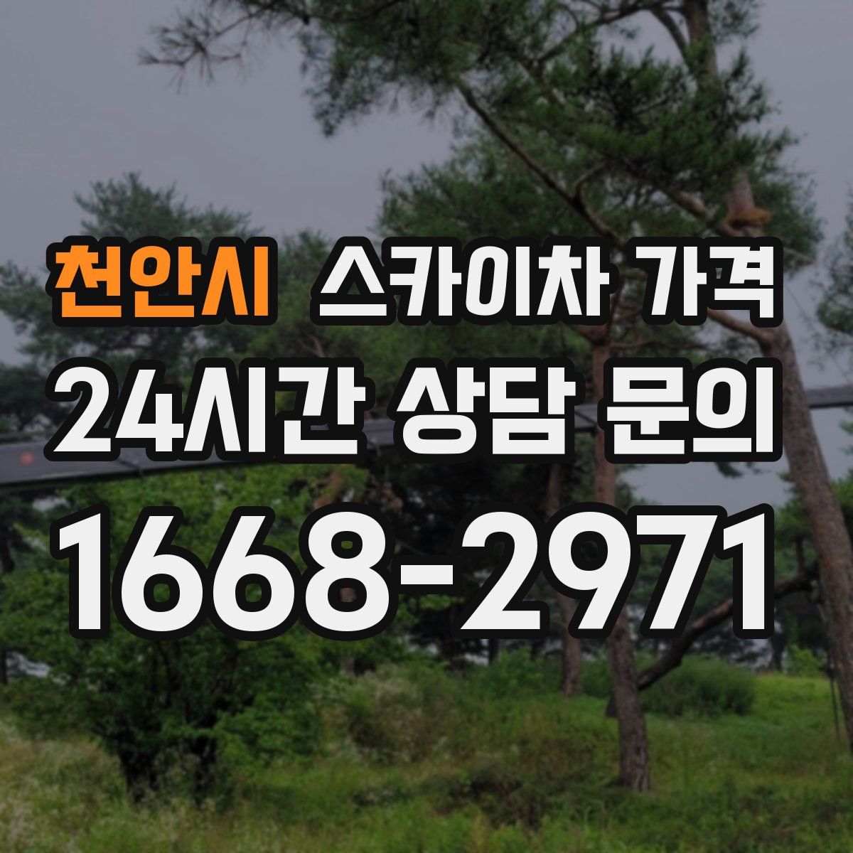 천안시 스카이차 가격