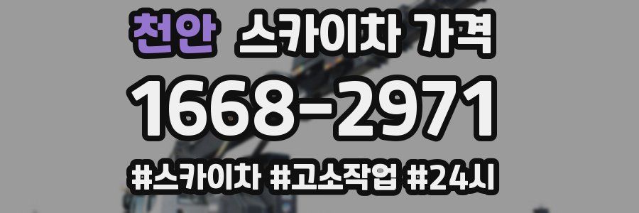 천안 스카이차 가격