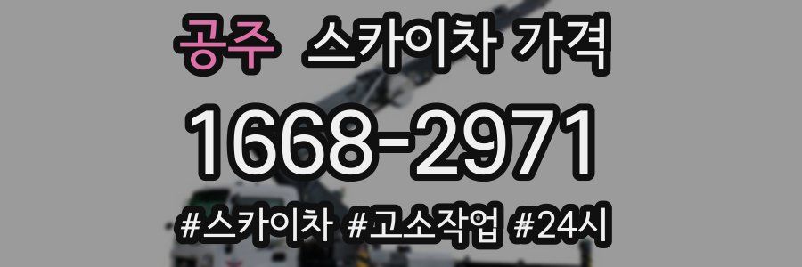 공주 스카이차 가격