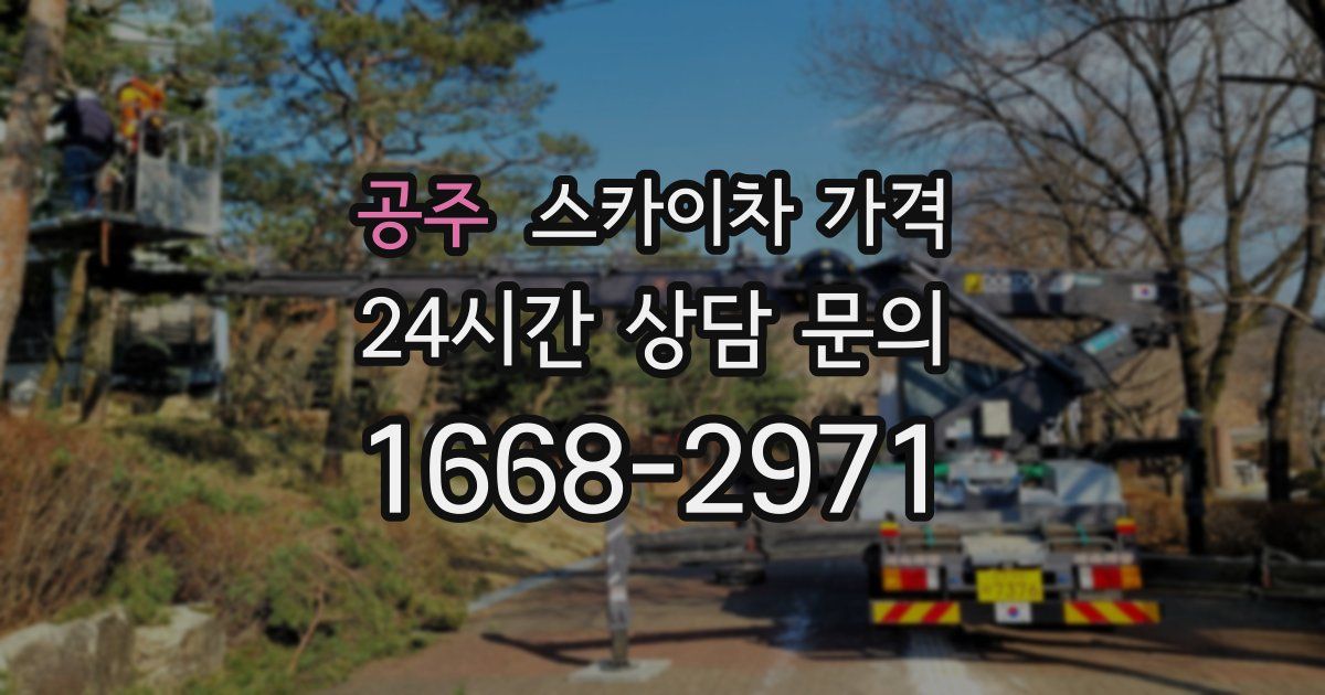 공주 스카이차 가격