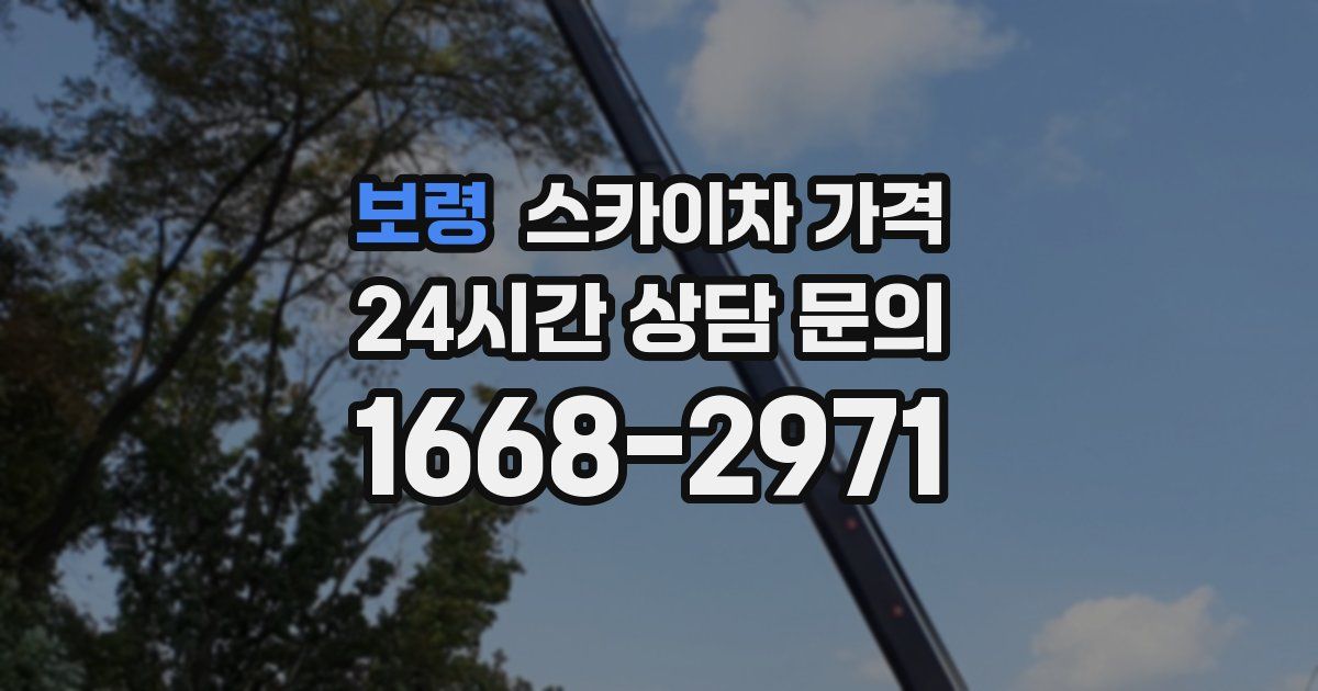 보령 스카이차 가격