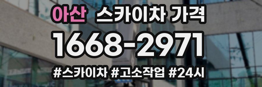 아산 스카이차 가격