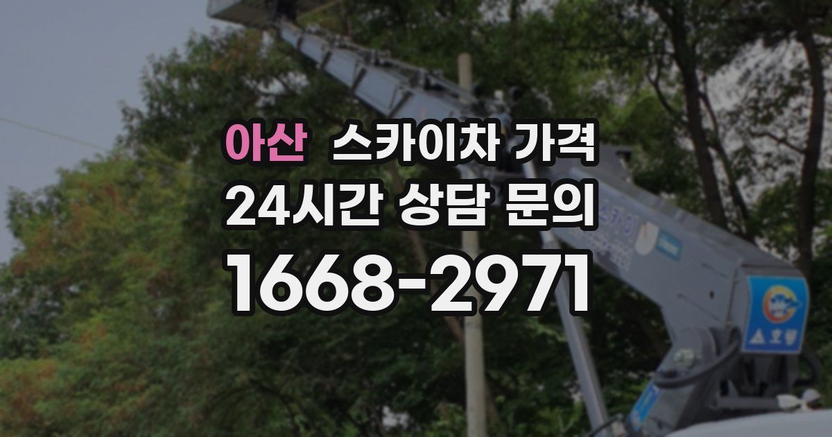 아산 스카이차 가격