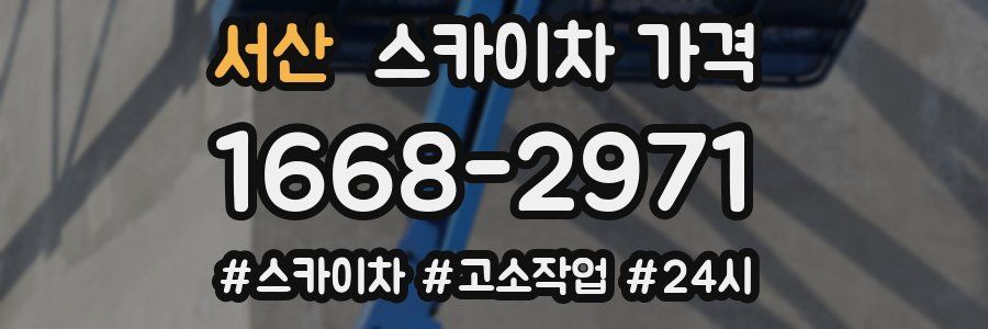 서산 스카이차 가격