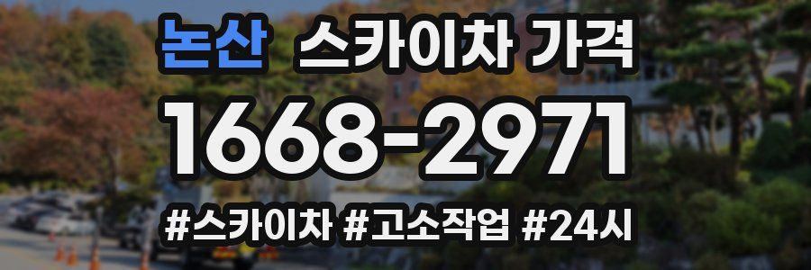 논산 스카이차 가격