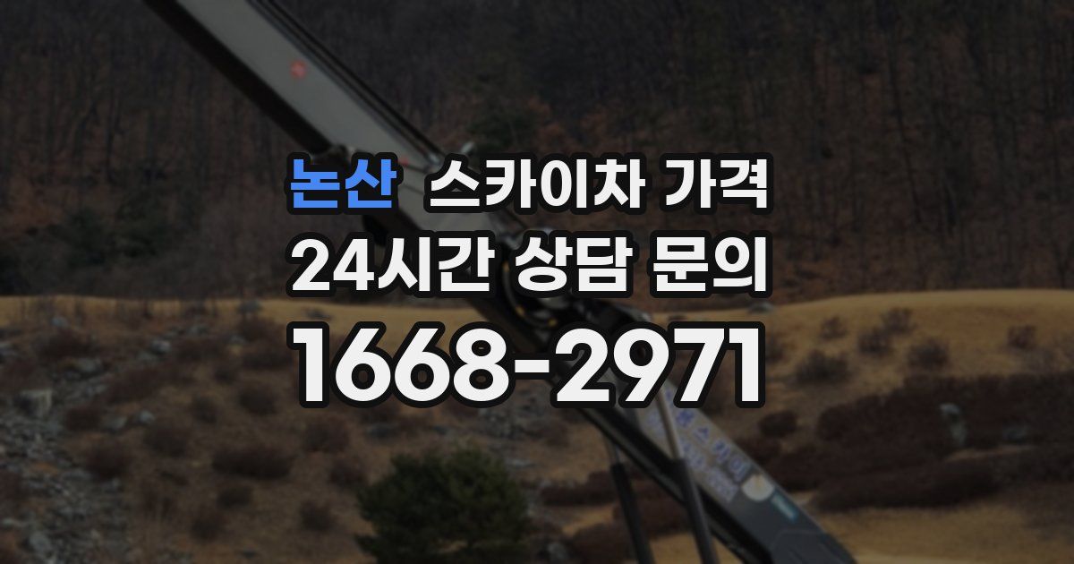 논산 스카이차 가격