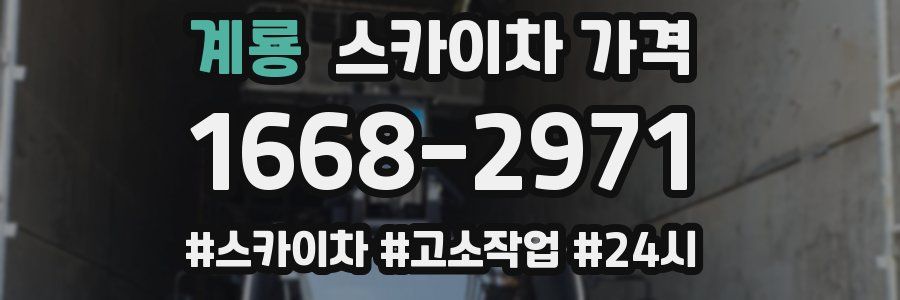 계룡 스카이차 가격