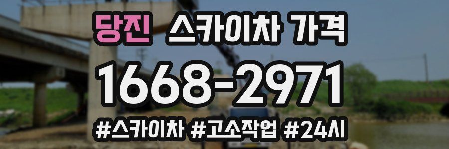 당진 스카이차 가격