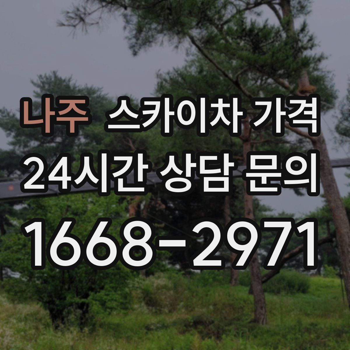 나주 스카이차 가격