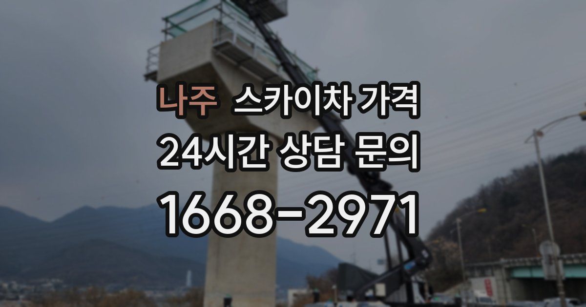 나주 스카이차 가격