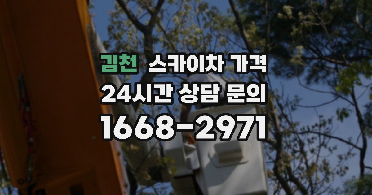 김천 스카이차 가격