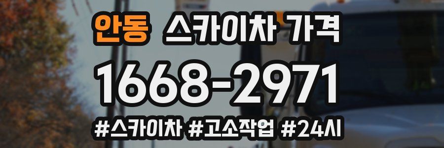 안동 스카이차 가격