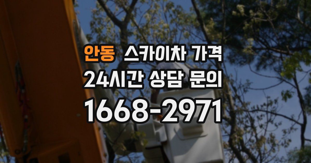 안동 스카이차 가격