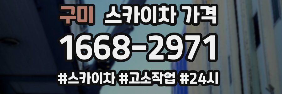 구미 스카이차 가격