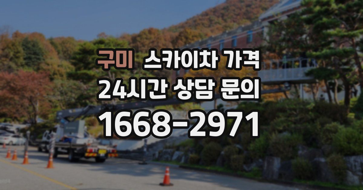 구미 스카이차 가격