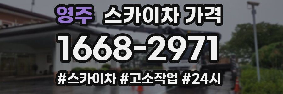 영주 스카이차 가격