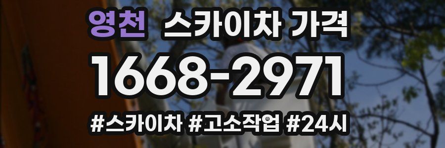 영천 스카이차 가격