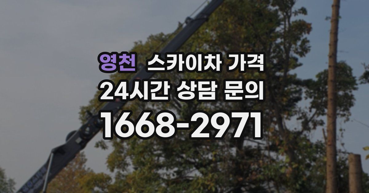 영천 스카이차 가격