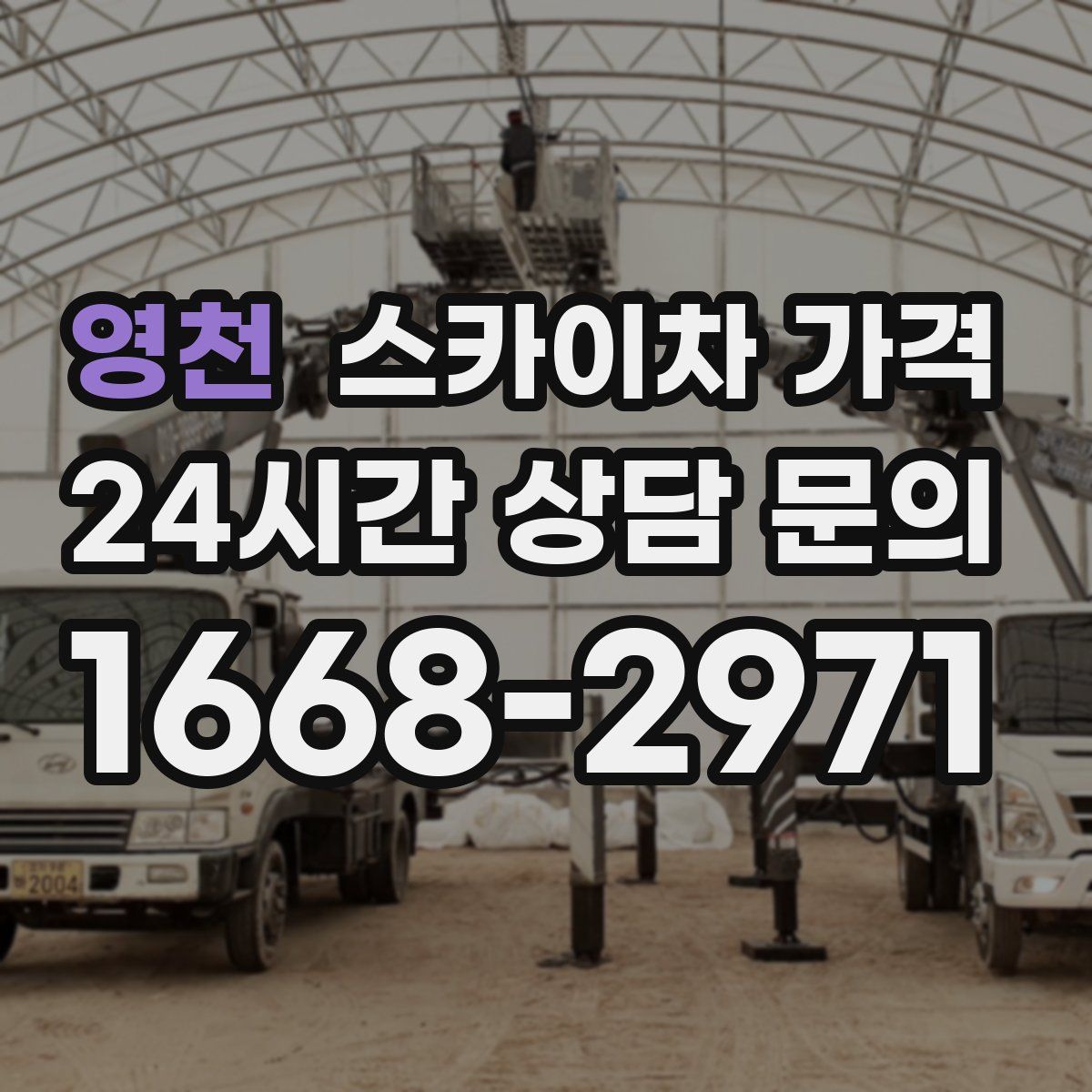 영천 스카이차 가격