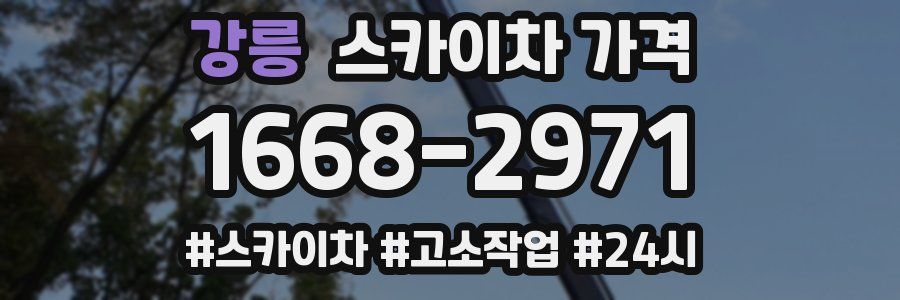 강릉 스카이차 가격