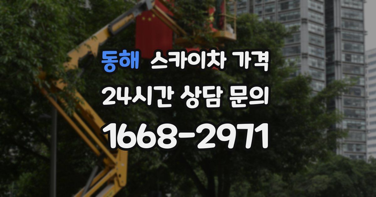 동해 스카이차 가격