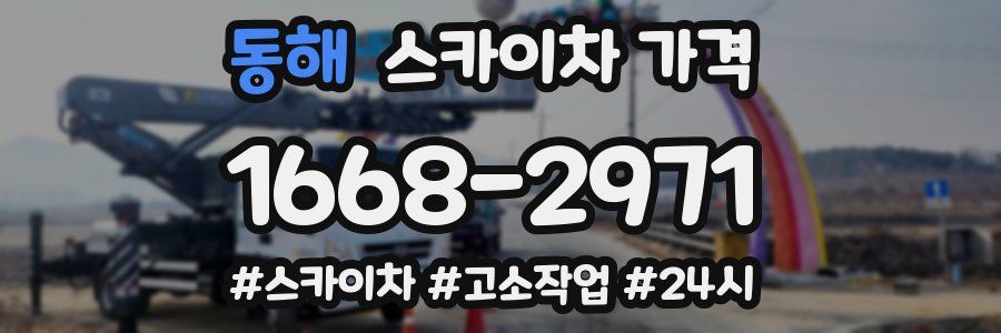 동해 스카이차 가격