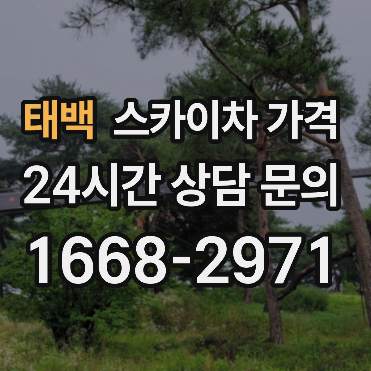 태백 스카이차 가격 차선 점유가 필요한 현장 체크 포인트