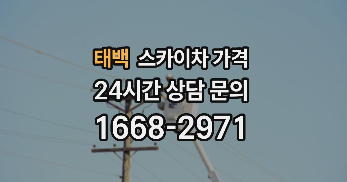 태백 스카이차 가격