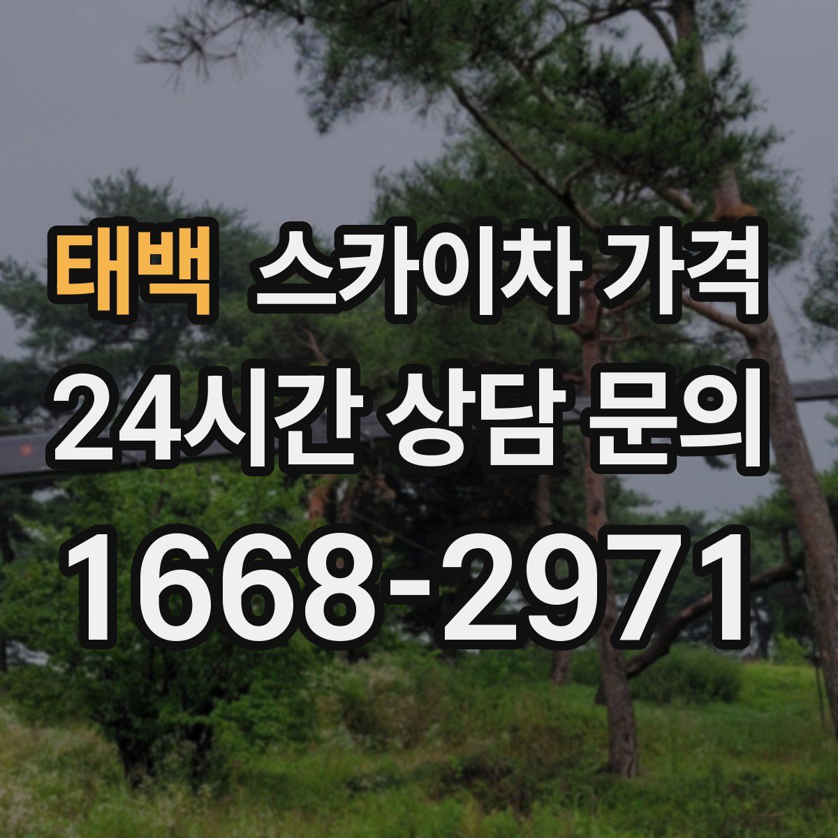 태백 스카이차 가격