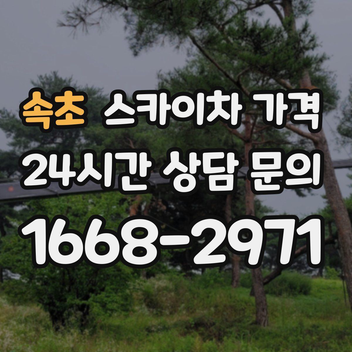 속초 스카이차 가격