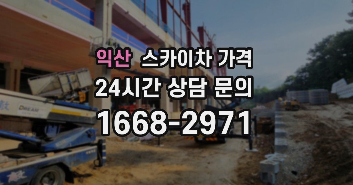 익산 스카이차 가격