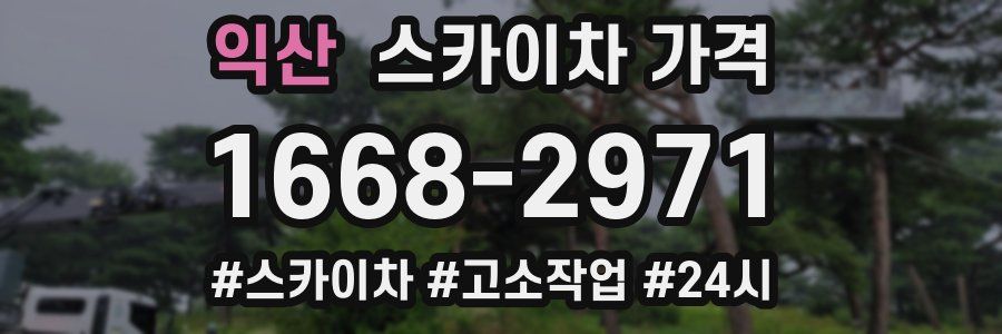 익산 스카이차 가격