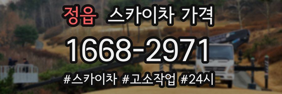 정읍 스카이차 가격