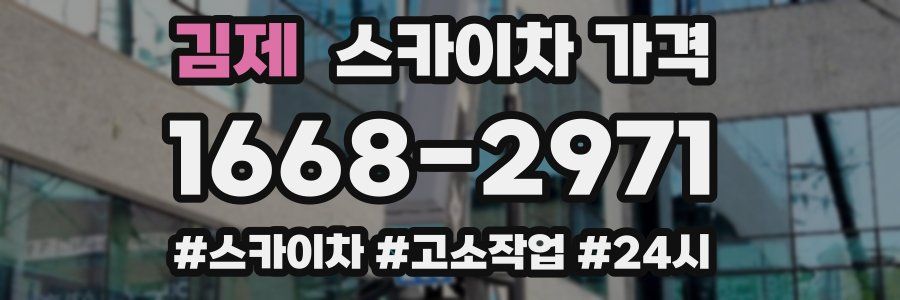 김제 스카이차 가격