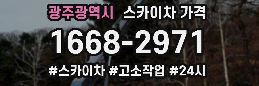 광주광역시 스카이차 가격