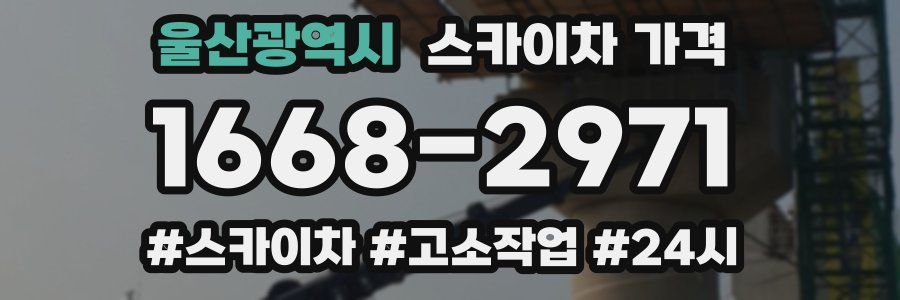 울산광역시 스카이차 가격