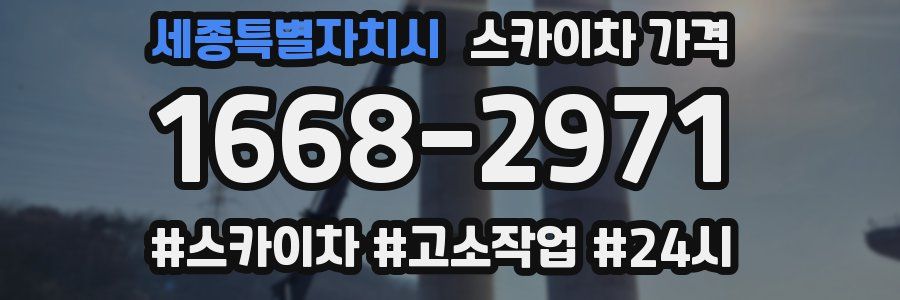 세종특별자치시 스카이차 가격