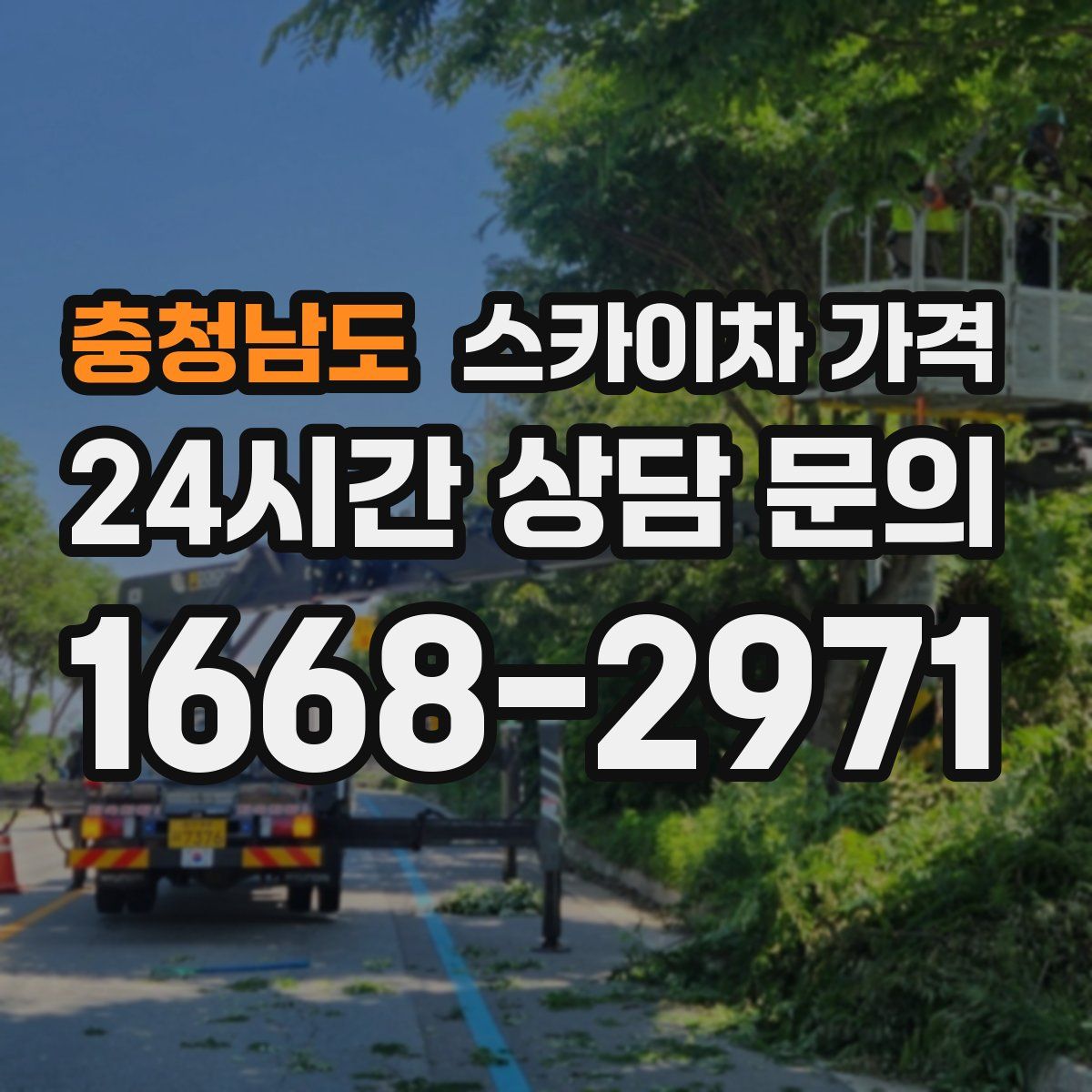 충청남도 스카이차 가격