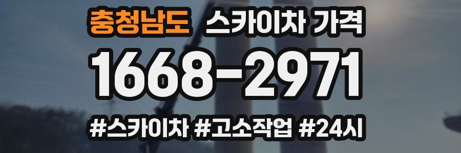 충청남도 스카이차 가격