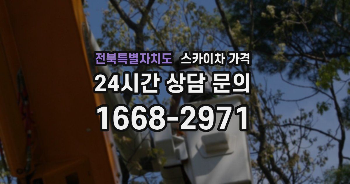 전북특별자치도 스카이차 가격