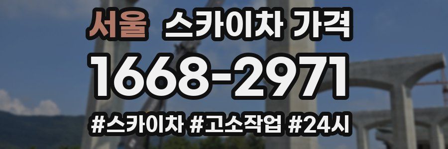 서울 스카이차 가격