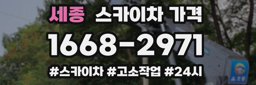 세종 스카이차 가격